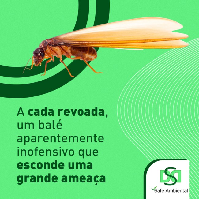A cada revoada, um balé aparentemente inofensivo que esconde uma grande ameaça