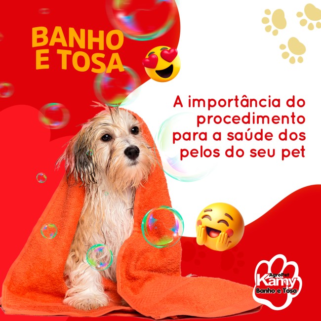 A importância do procedimento de banho e tosa para a saúde dos pelos do seu pet