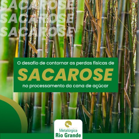 O desafio de contornar as perdas físicas de sacarose no processamento da cana de açúcar