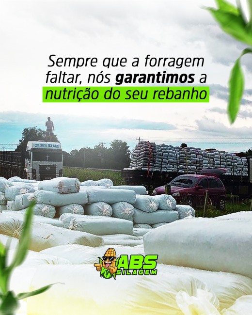 Sempre que a forragem faltar, nós garantimos a nutrição do seu rebanho