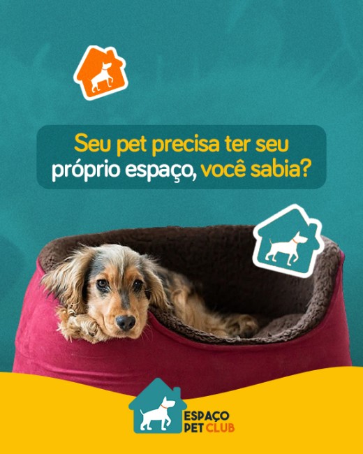Seu pet precisa ter seu próprio espaço, você sabia?