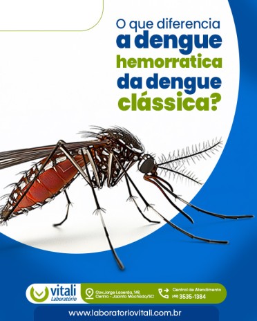 O que diferencia a dengue hemorrágica da dengue clássica?