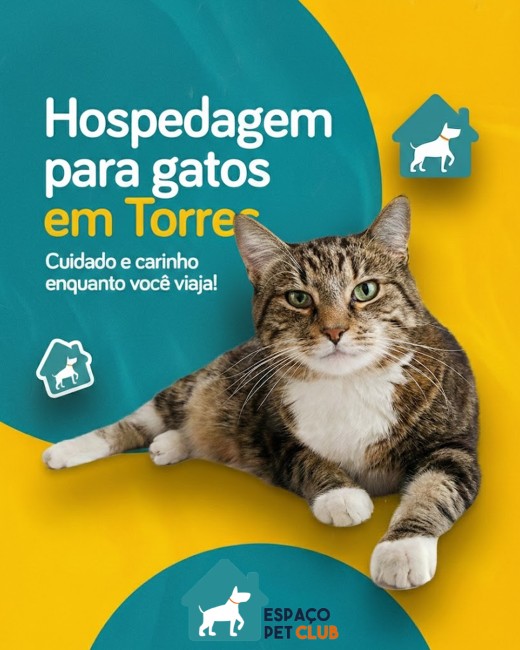 Hospedagem para gatos em Torres