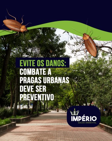 Evite os danos: combate a pragas urbanas deve ser preventivo