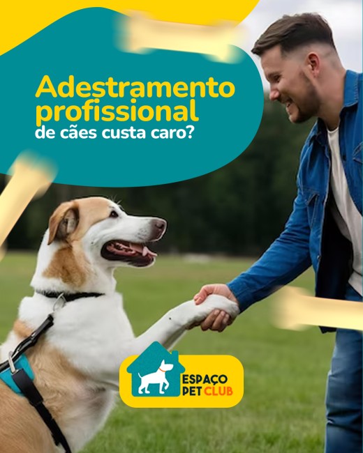 Adestramento profissional de cães custa caro?