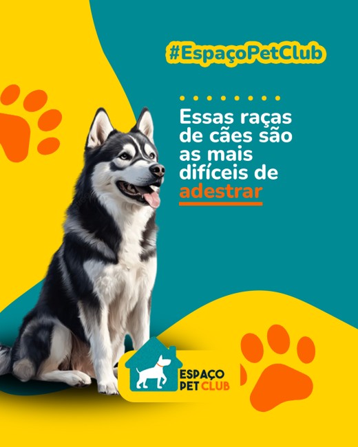 Essas raças de cães são as mais difíceis de adestrar