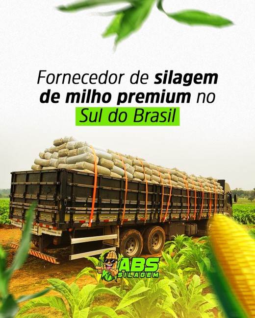 Fornecedor de silagem de milho premium no Sul do Brasil