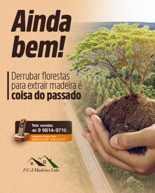 Ainda bem! Derrubar florestas para extrair madeira é coisa do passado