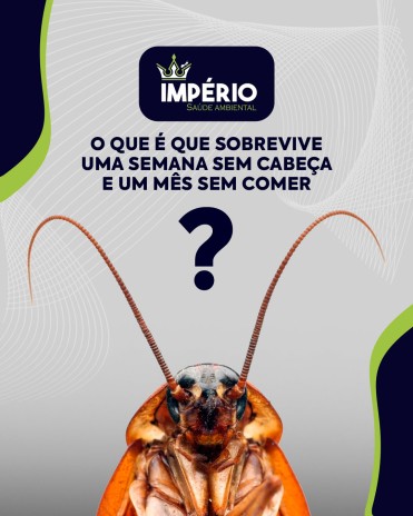O que é que sobrevive uma semana sem cabeça e um mês sem comer?