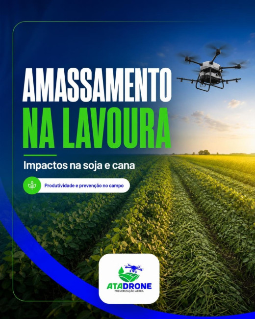 Amassamento na lavoura: impactos na soja e cana